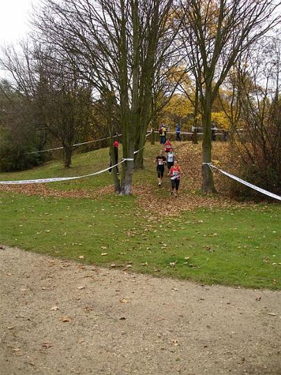 cross de massy 2008 029.jpg